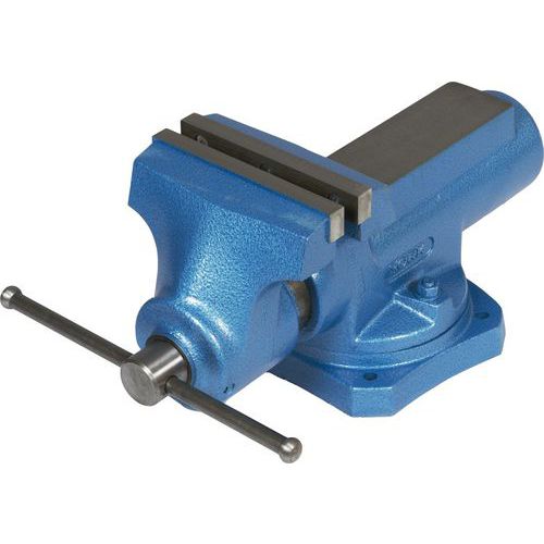 Masivní litinový svěrák pro náročné použití, šířka čelisti 200 mm