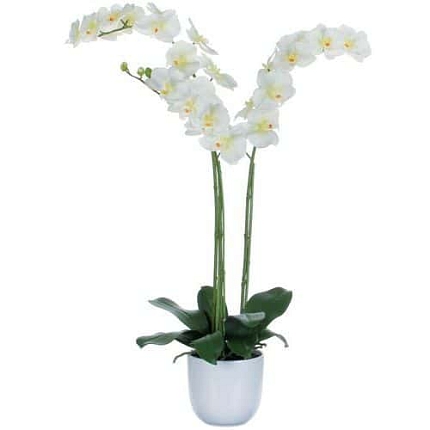 Umělá rostlina orchidej Phalaenopsis, bílozelená, výška 100 cm