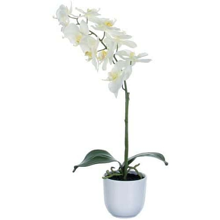 Umělá rostlina orchidej Phalaenopsis, bílozelená, výška 60 cm
