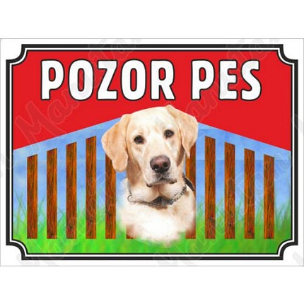 Výstražné tabulky - Pozor pes - Labrador