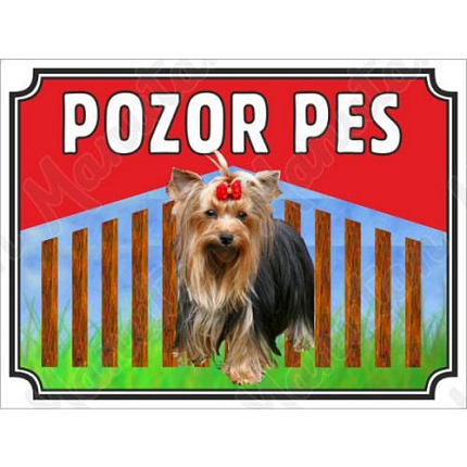 Výstražné tabulky - Pozor pes - Yorkširský teriér