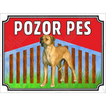 Výstražné tabulky - Pozor pes - Ridgeback