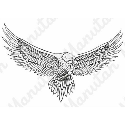 Silueta dravce, samolepka 297 x 210 x 0,1 mm A4