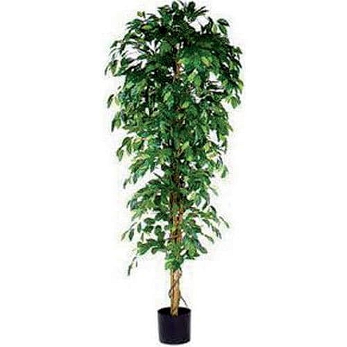 Umělá rostlina Ficus Benjamina, zelená, výška 210 cm