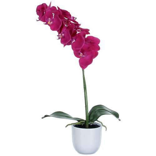 Umělá rostlina orchidej Phalaenopsis, fialovozelená, výška 60 cm