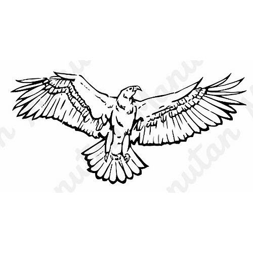 Silueta dravce, samolepka 210 x 297 x 0,1 mm A4, inverzní