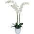 Umělá rostlina orchidej Phalaenopsis, bílozelená, výška 100 cm